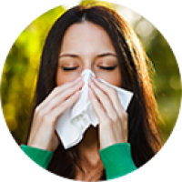 Šienligė gali sugadinti pačią gražiausią pavasario dieną